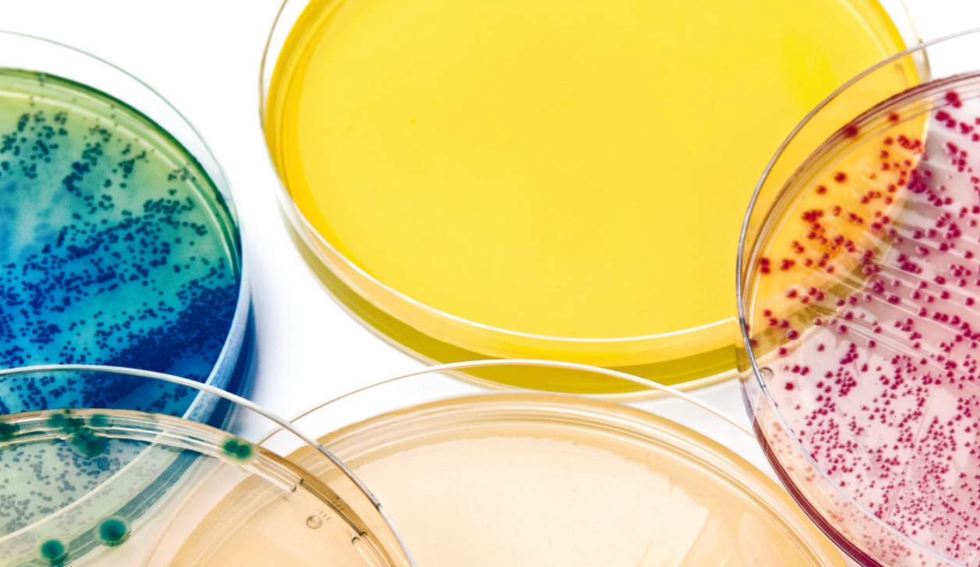 Condachrome Chromogenic 