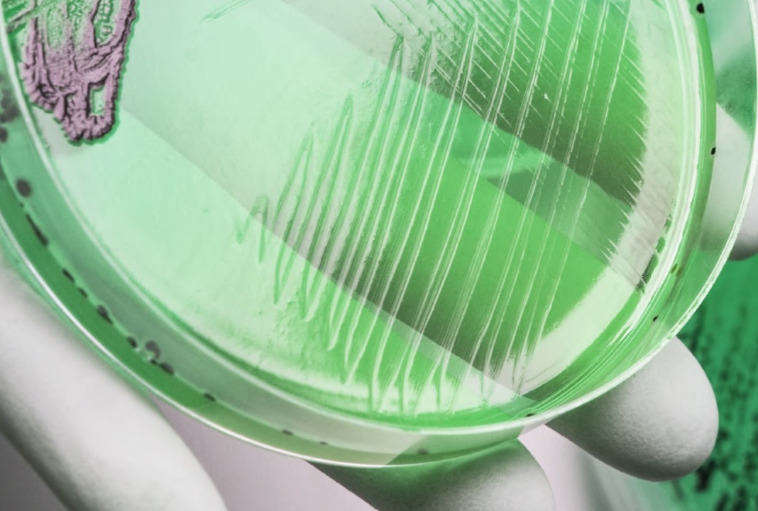 Condalab Products