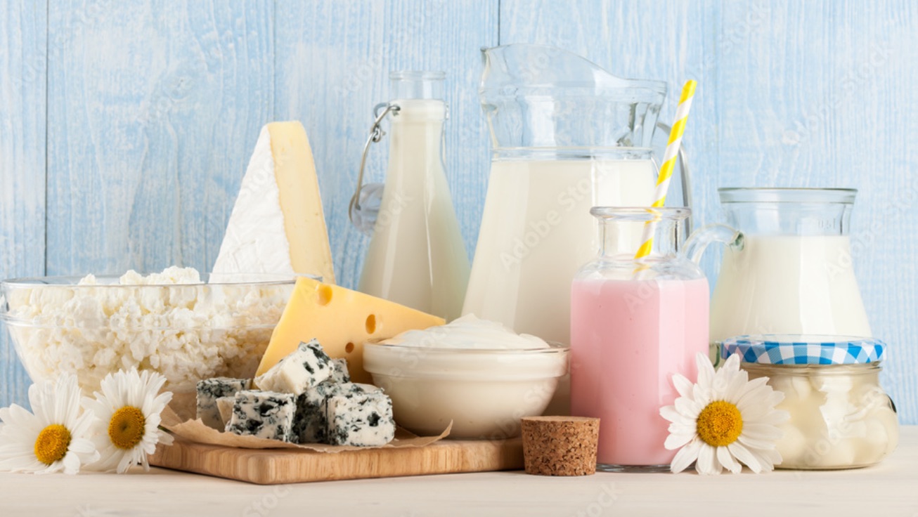 Dairy products microbiology
